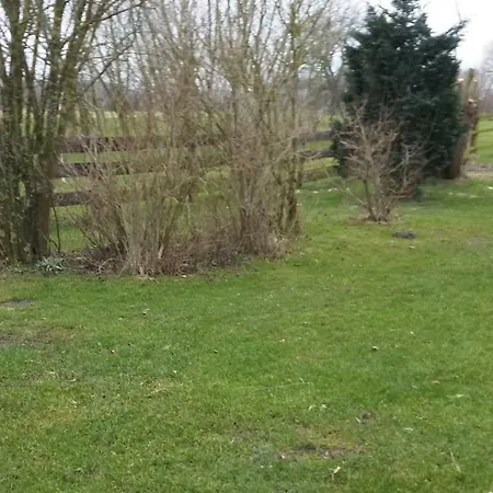 Hahn Börgerende-Rethwisch