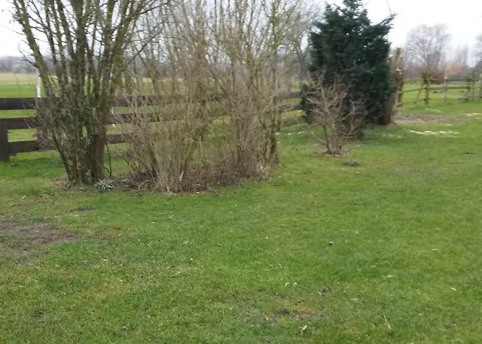 Hahn Börgerende-Rethwisch